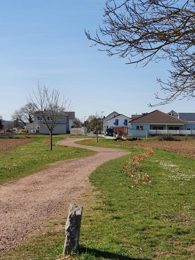 Ferienwohnung Zum Schlossblick Naehe Europa Park Mahlberg Exterior foto